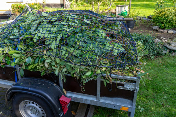 Best Yard Waste Removal  in Marlinton, WV
